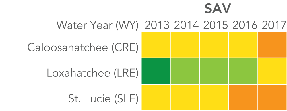 Caloosahatchee: SAV rated "fair" 2013 to 2016, and "poor" in 2017. Loxahatchee: SAV rated "very good" in 2013, "good" 2014 to 2016, and "fair" in 2017. St. Lucie: SAV rated "fair" 2013 to 2015 and "poor" 2016 to 2017.